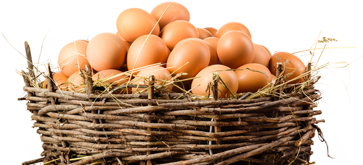 Basket Full Of Eggs Background PNG Image