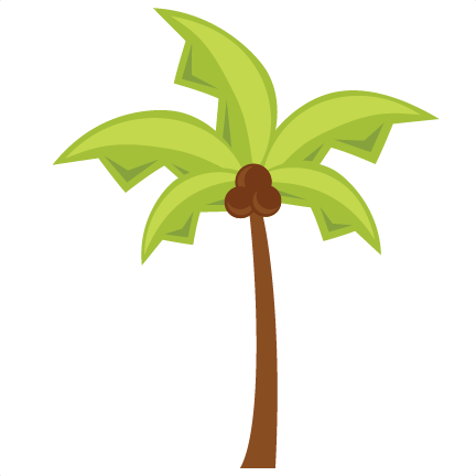 Big Palm Tree PNG HD Quality