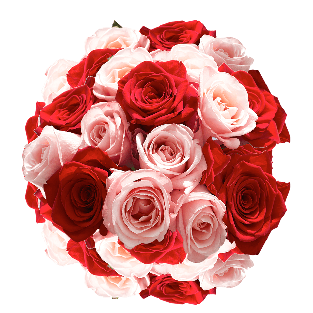 Birthday Roses PNG Pic Background