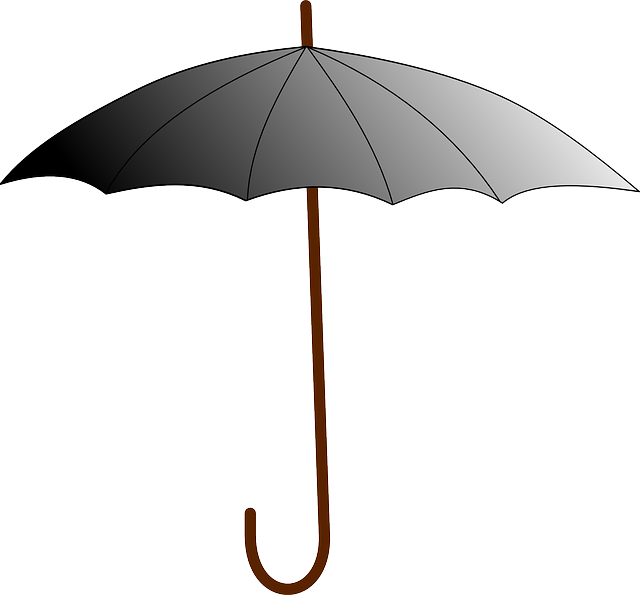Black Open Umbrella PNG Free File Download