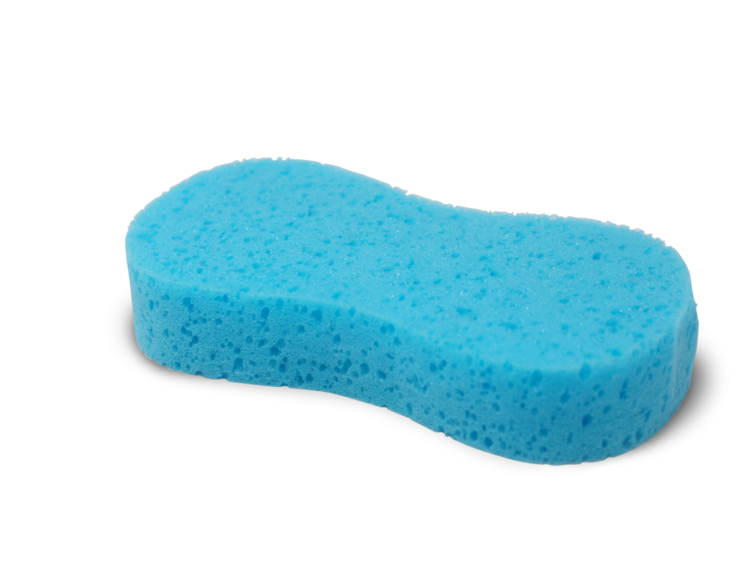 Blue Sponges Download Free PNG