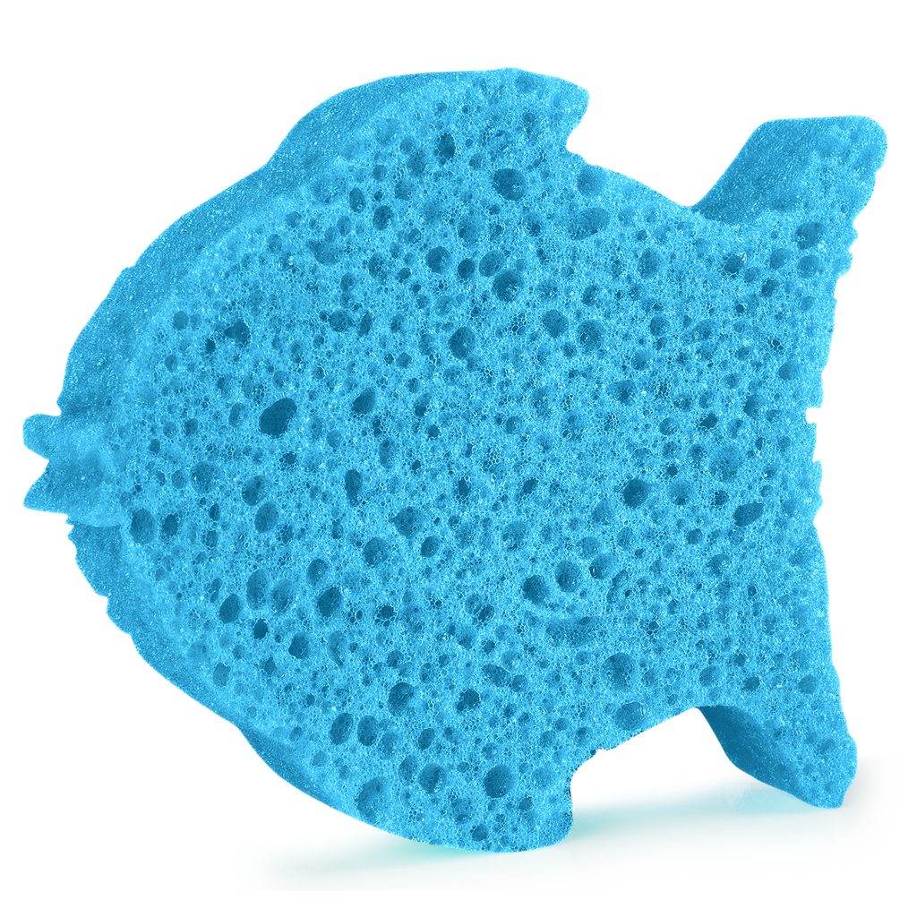Blue Sponges Transparent Background