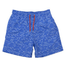 Blue Swimming Trunks PNG Photos | PNG Play