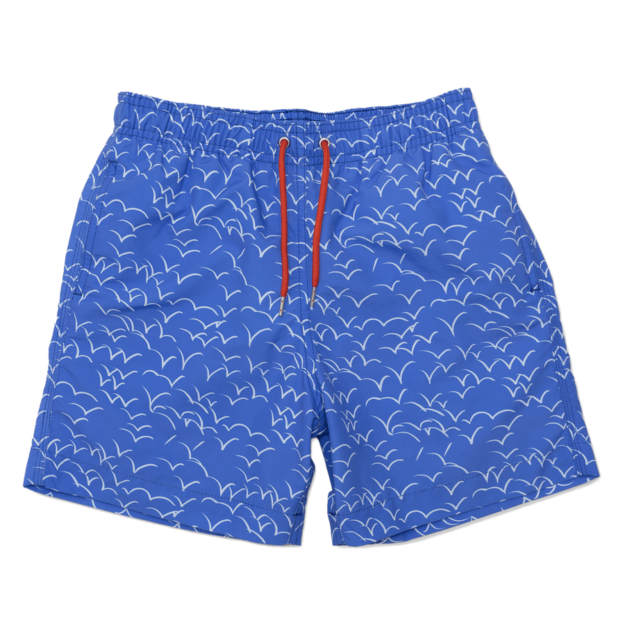 Blue Swimming Trunks PNG Photos