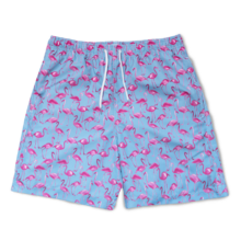 Blue Swimming Trunks Transparent File - PNG Play
