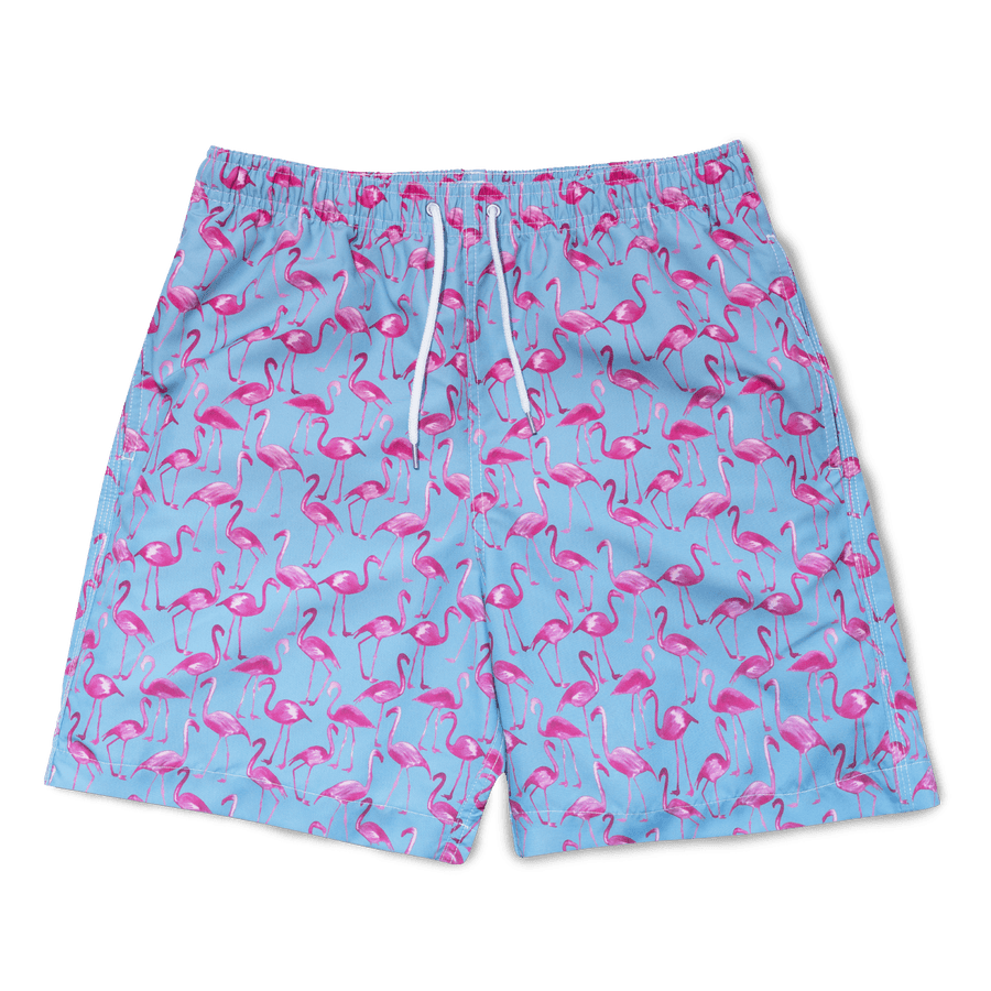 Blue Swimming Trunks Transparent File - PNG Play