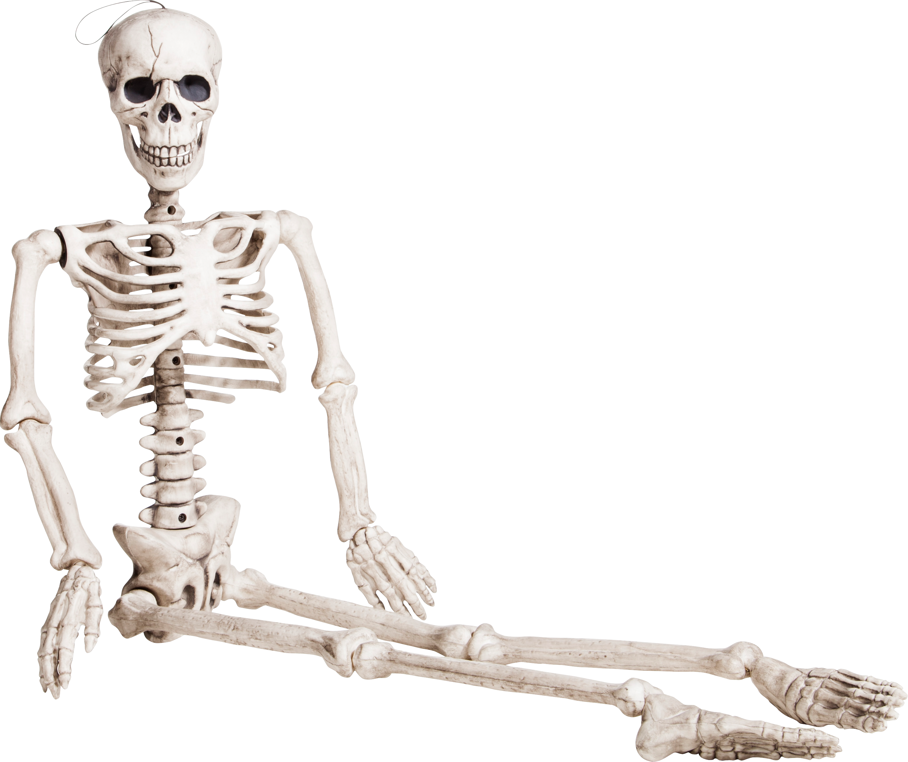 Body Skeleton PNG Background