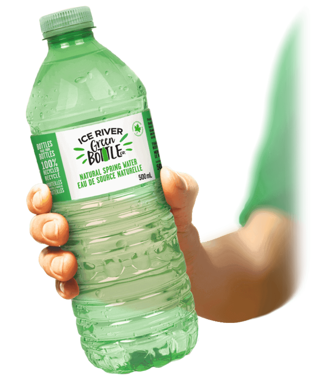 Bottle Green Transparent Background