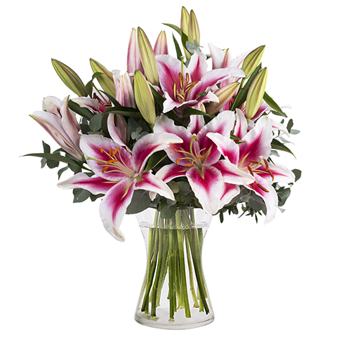 Bouquet Of Lilies Background PNG