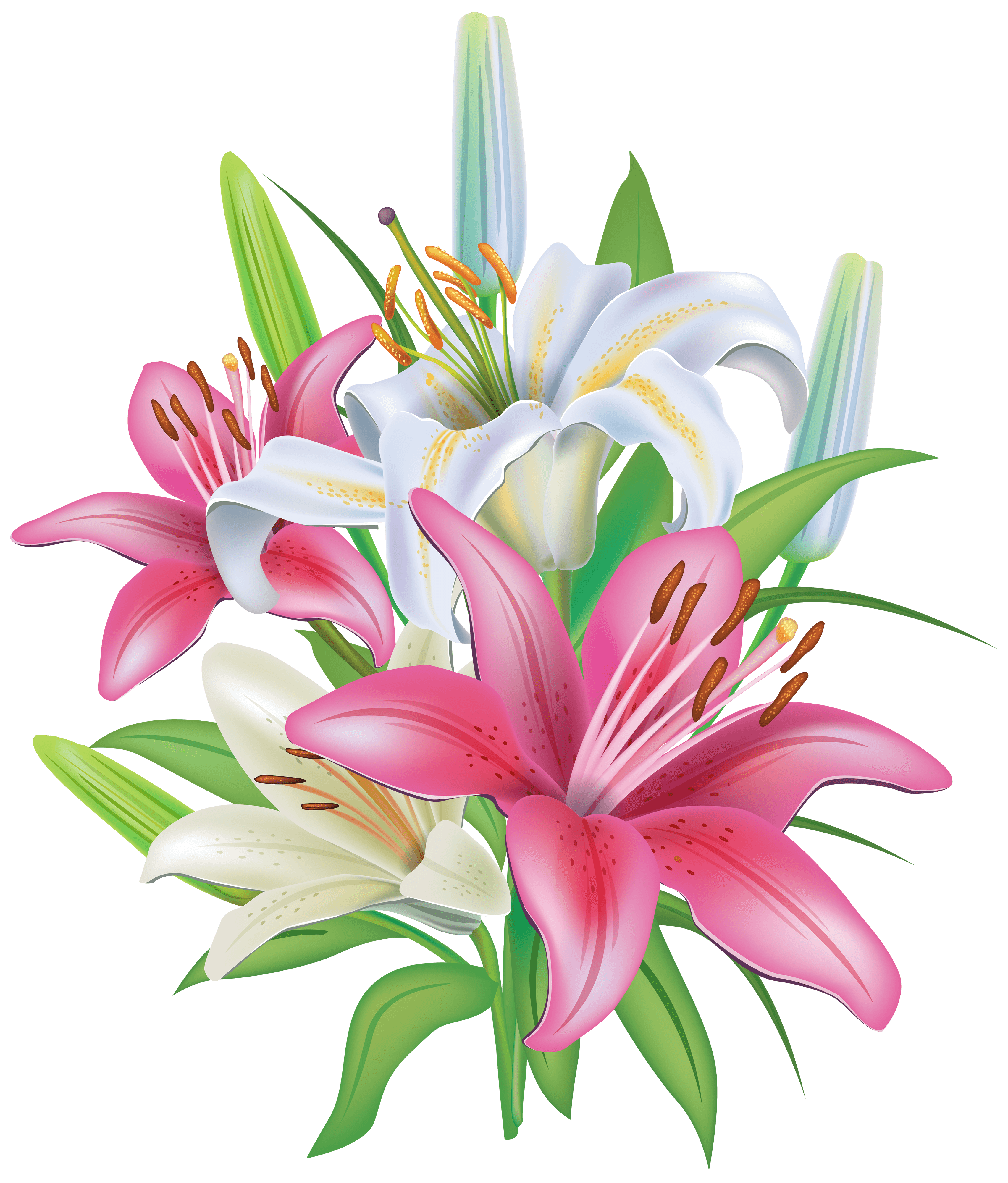 Bouquet Of Lilies Download Free PNG