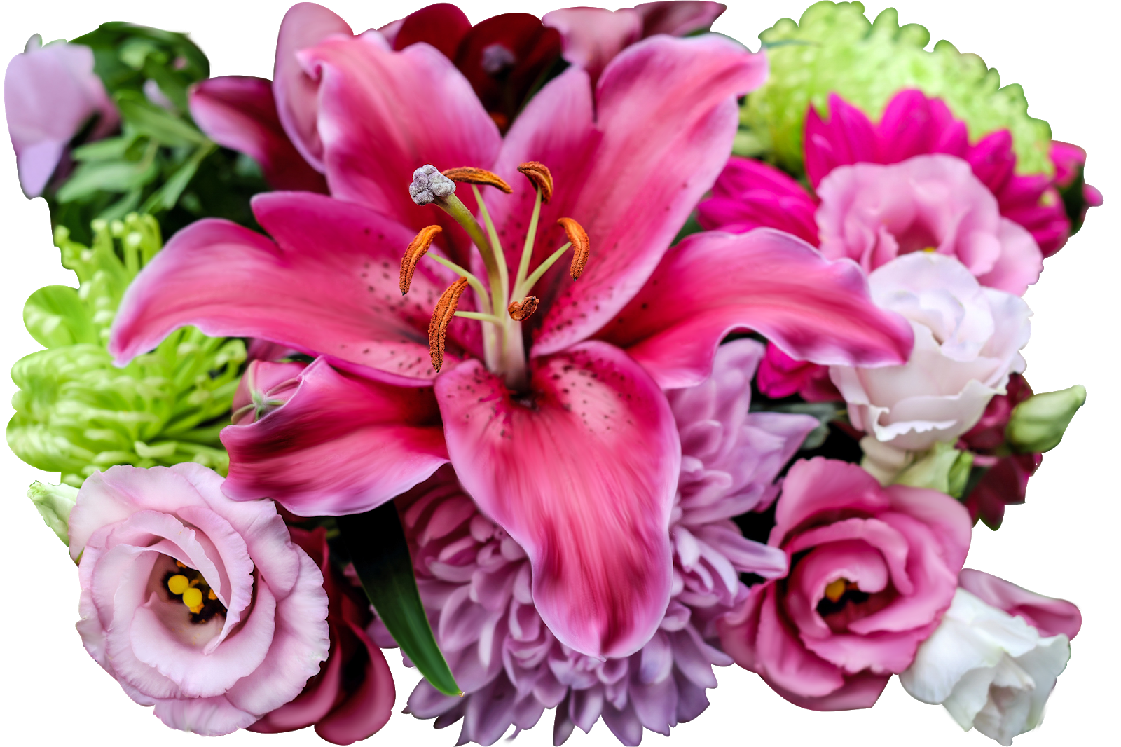 Bouquet Of Lilies PNG Free File Download