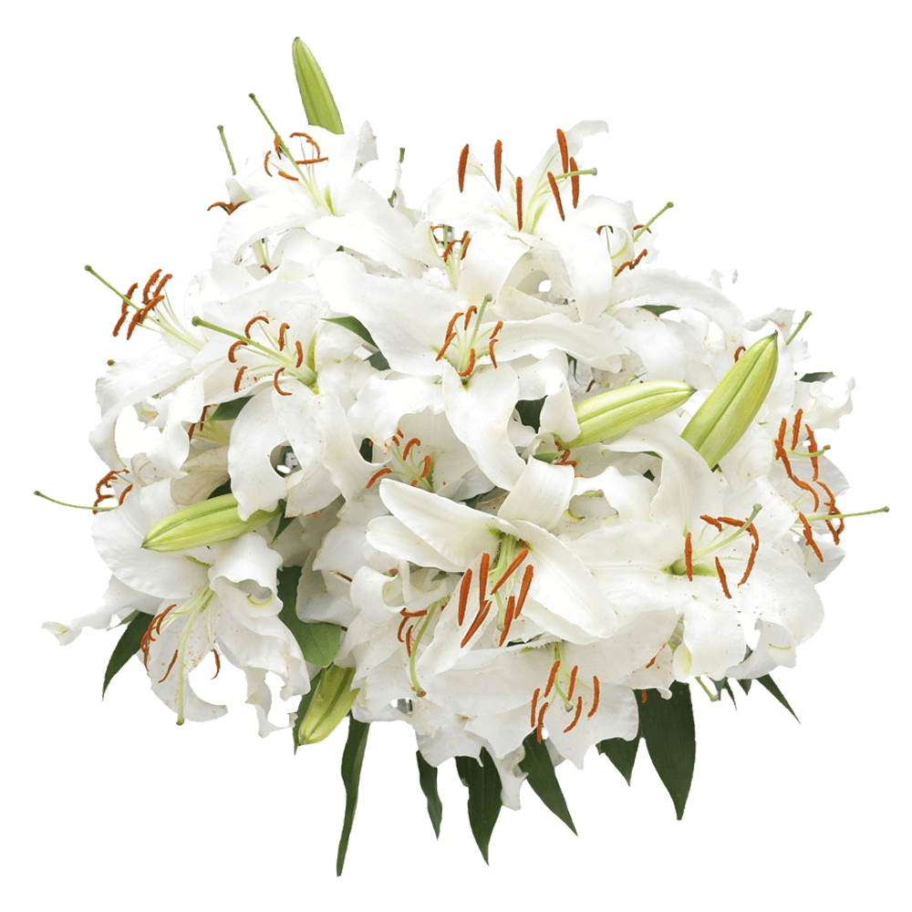 Bouquet Of Lilies PNG Pic Background