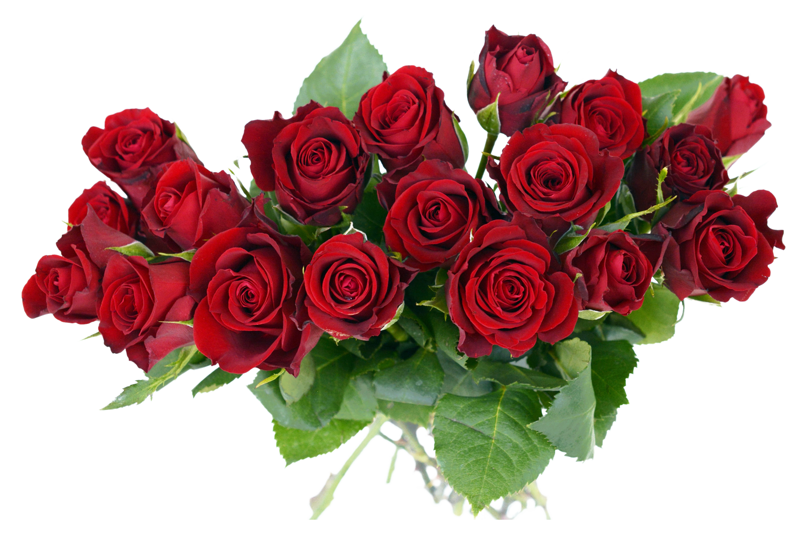 Bouquet Of Rose Flowers PNG Photo Image