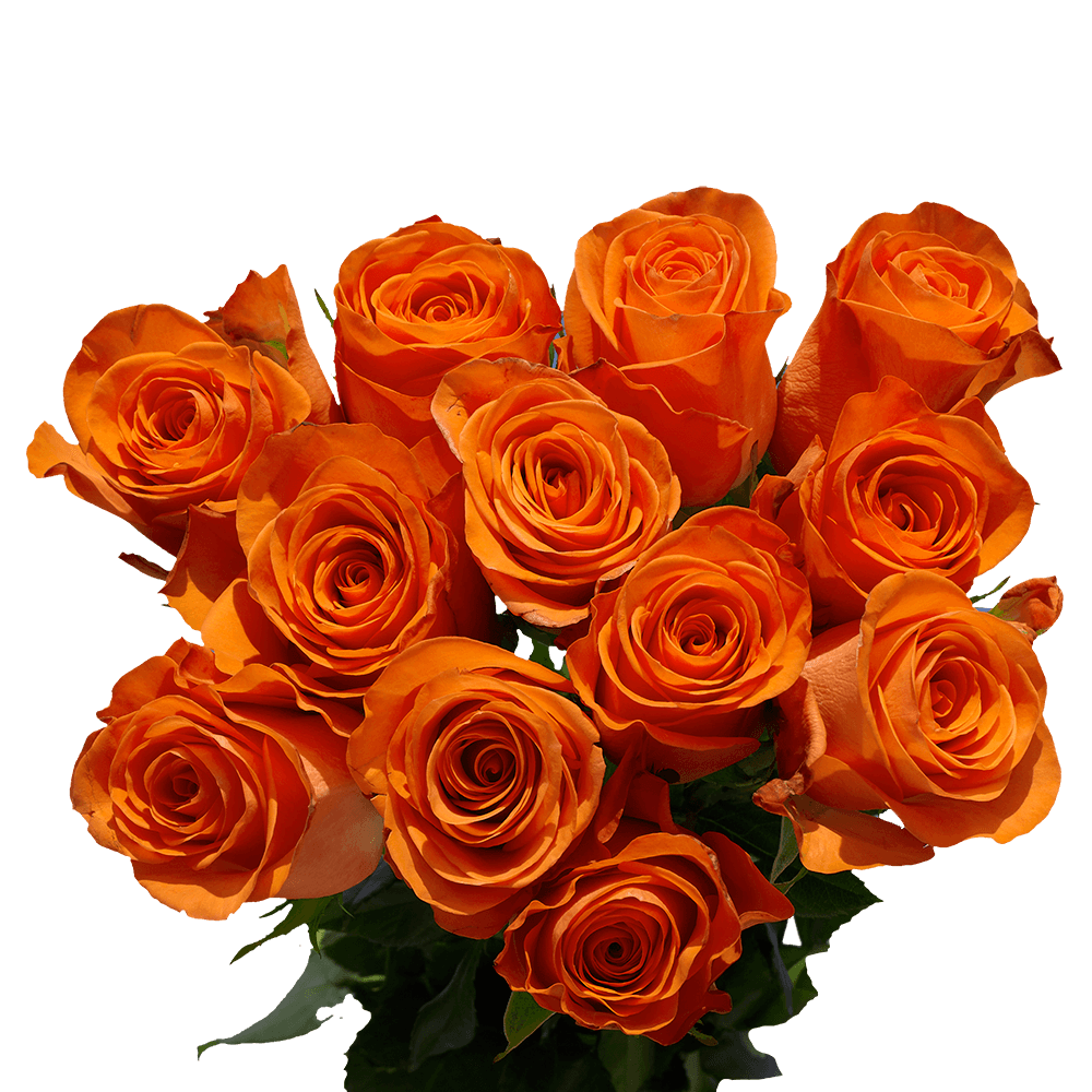 Bouquet Of Rose Flowers PNG Pic Background