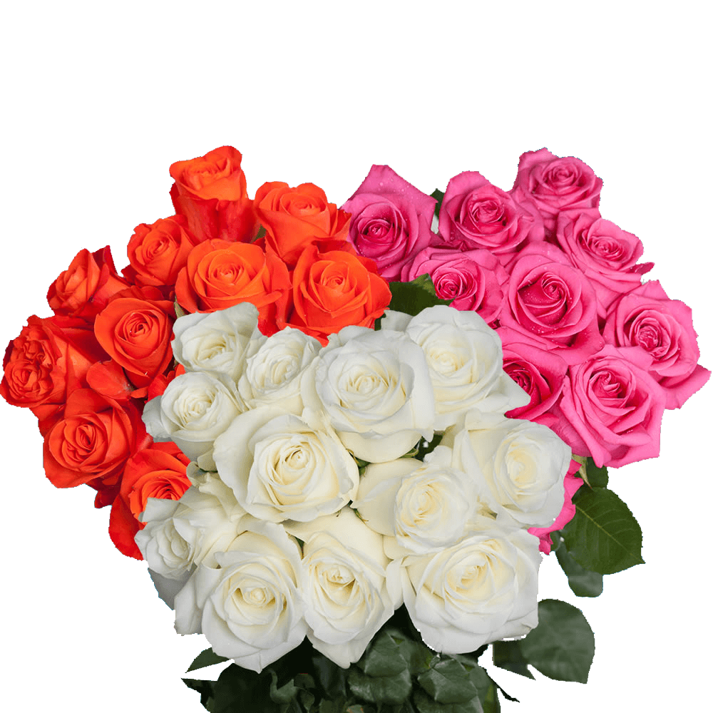 Bouquet Of Rose Flowers Transparent Free PNG