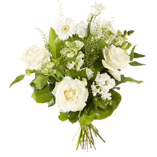 Bouquet Of White Roses PNG Free File Download