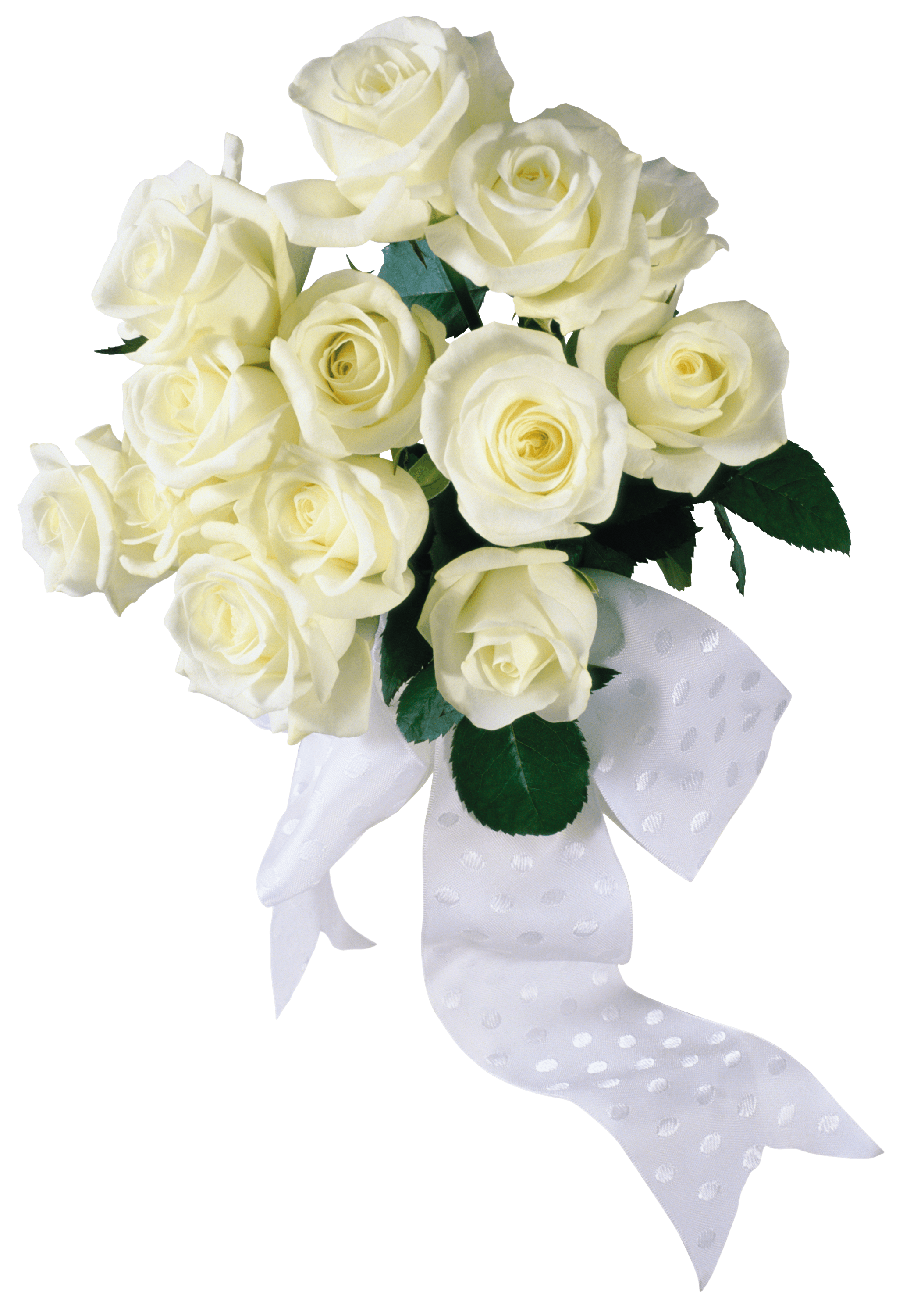 Bouquet Of White Roses Transparent File
