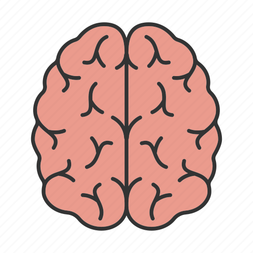 Brain Head PNG Images HD