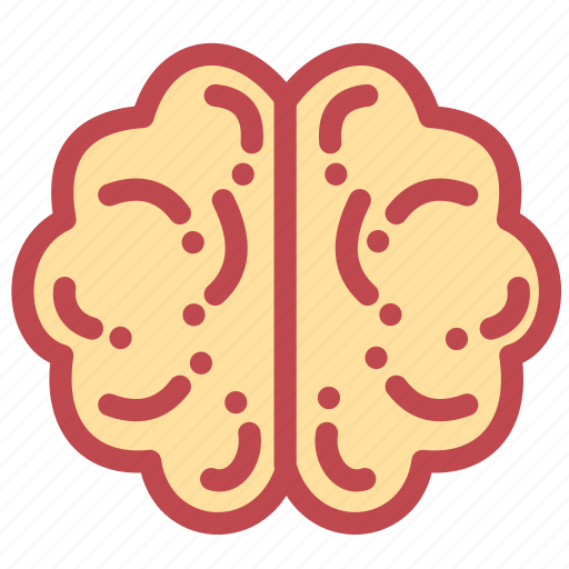 Brain Head Transparent Image