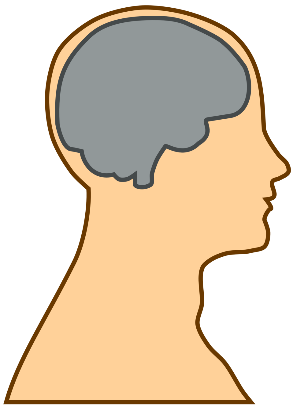 Brain Head Transparent Images