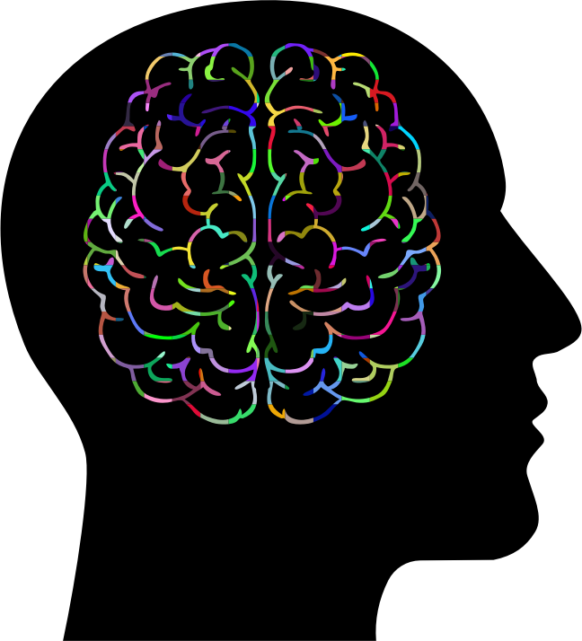 Brain Head Transparent PNG