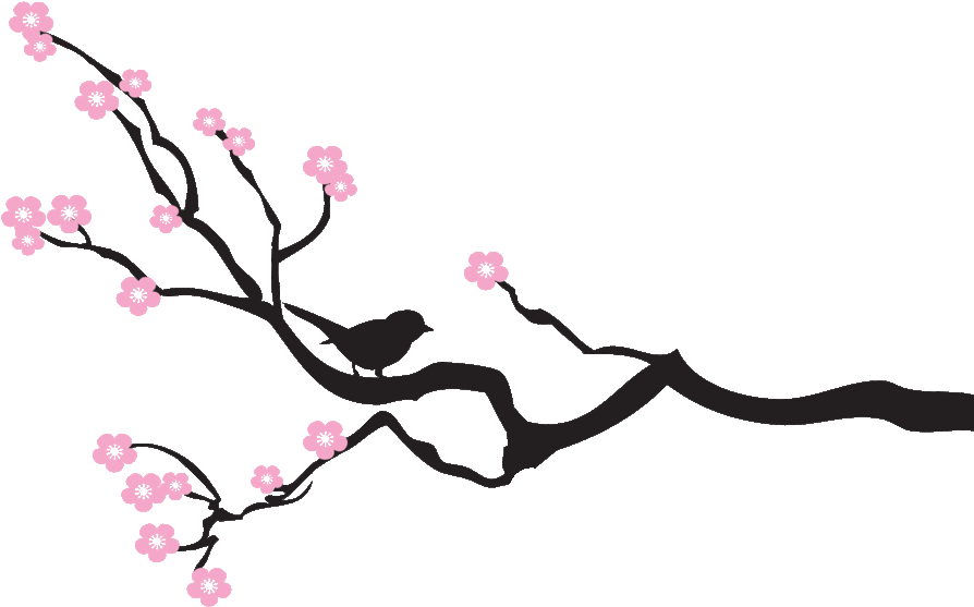 Branch And Flowers PNG Background