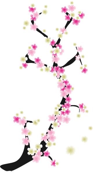 Branch And Flowers PNG HD Quality