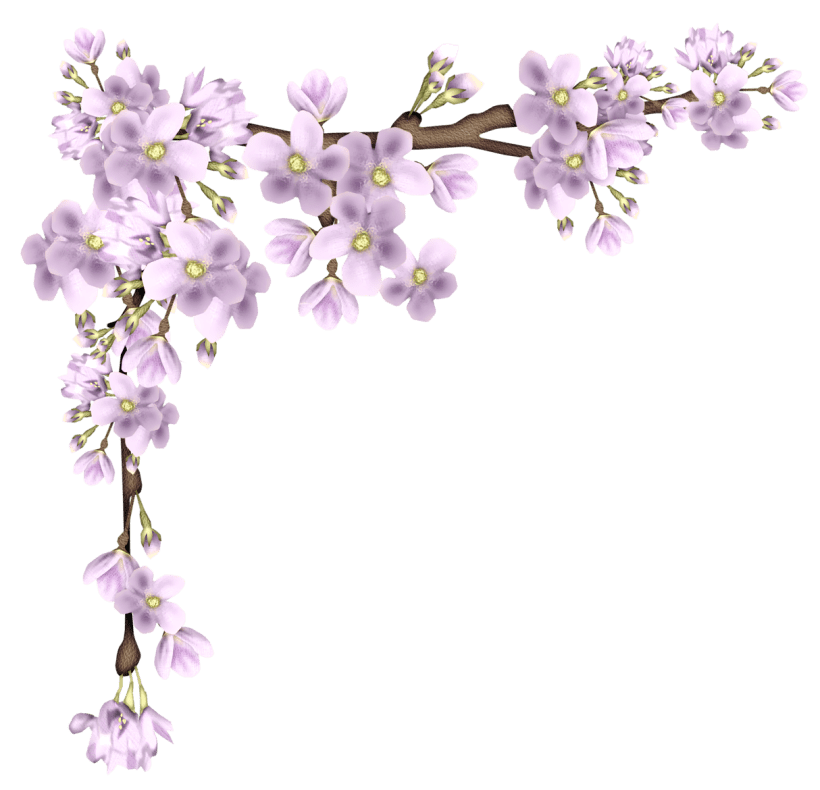 Branch And Flowers PNG Images HD