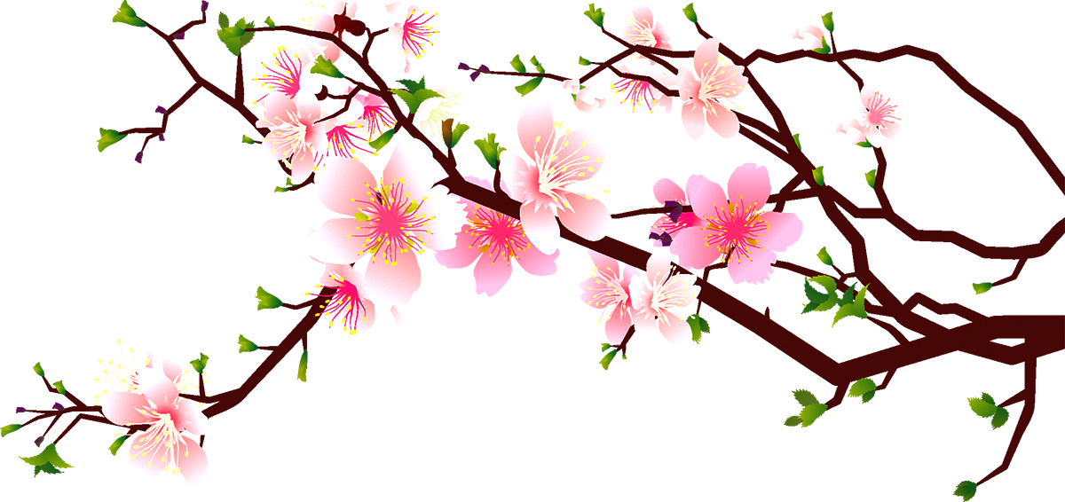 Branch And Flowers PNG Pic Background