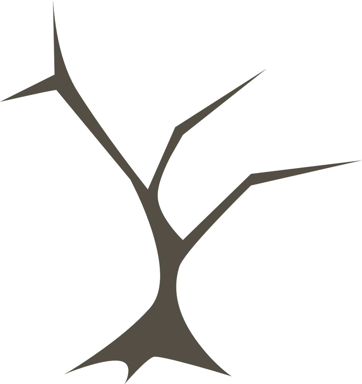 Branches PNG Clipart Background