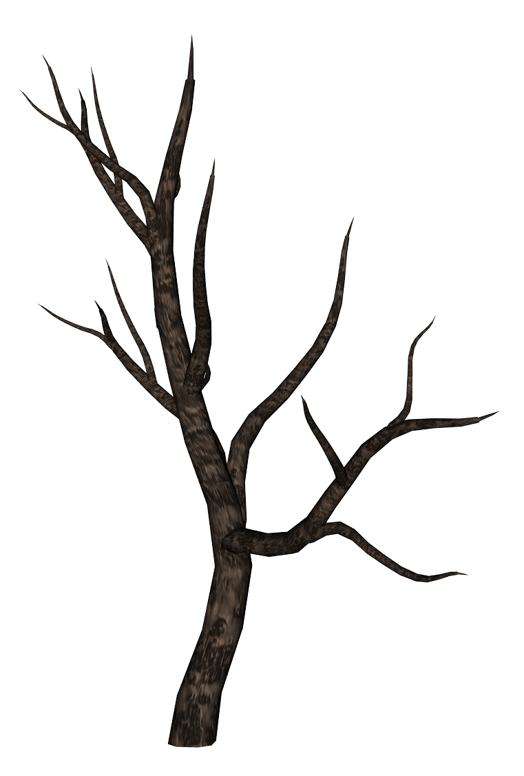 Branches PNG HD Quality