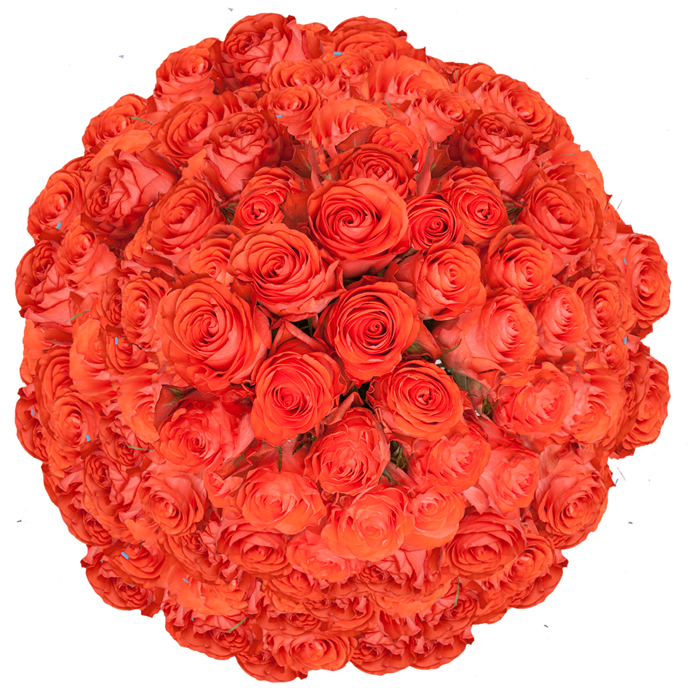Brightly Coloured Bouquet PNG HD Quality