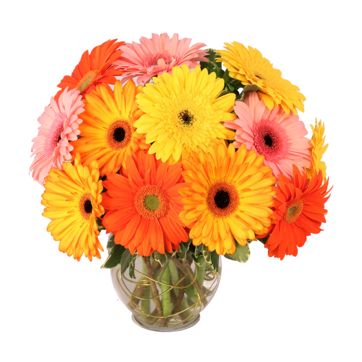 Brightly Coloured Bouquet Transparent Background