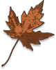 Brown Maple Leaf Background PNG Image