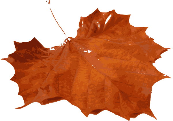 Brown Maple Leaf Transparent Background