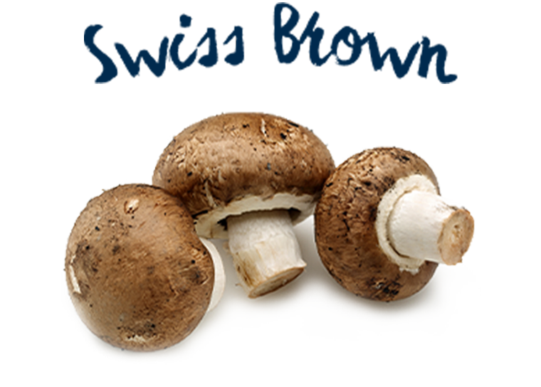 Brown Mushrooms Transparent Images