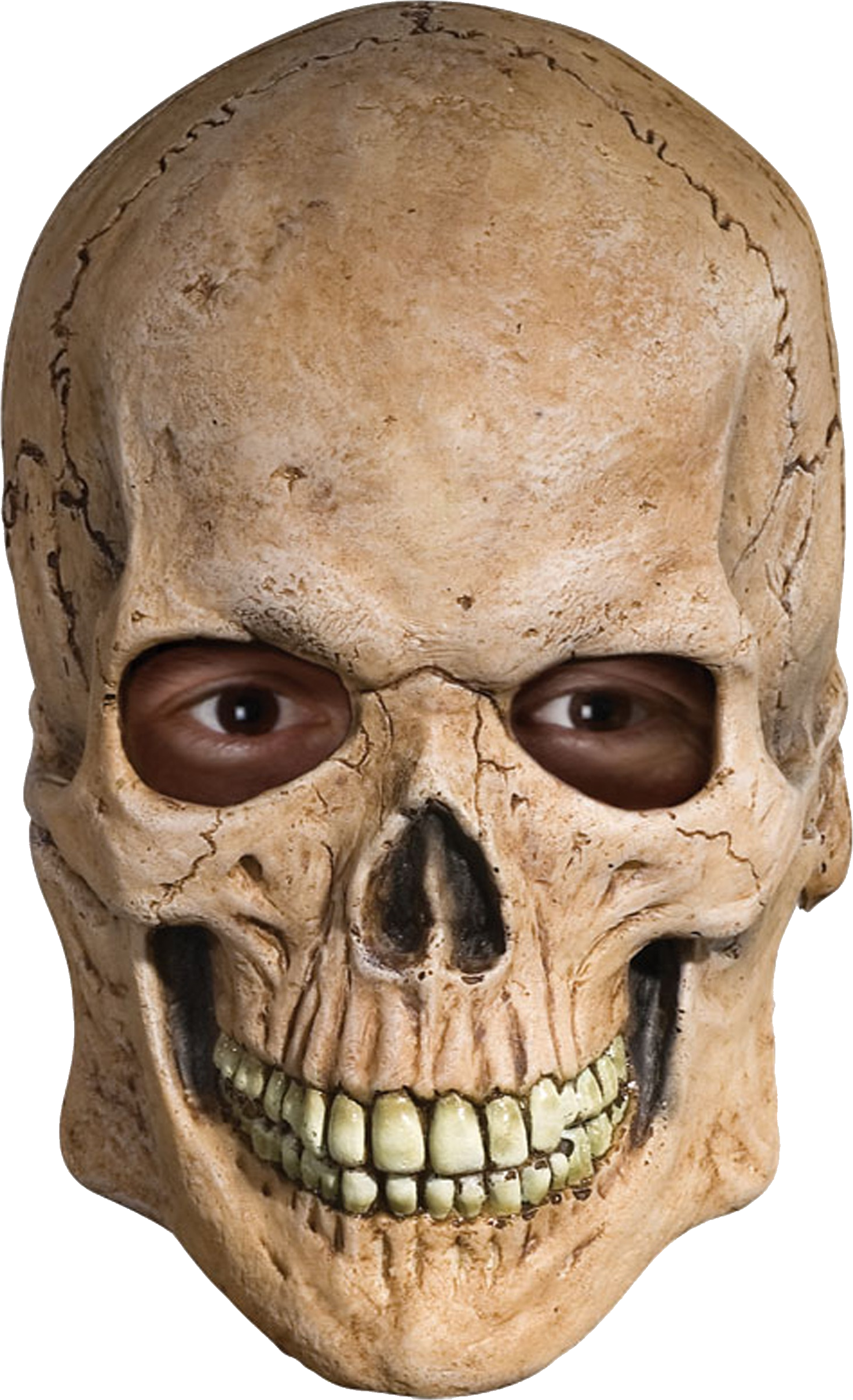 Brown Skull PNG Clipart Background