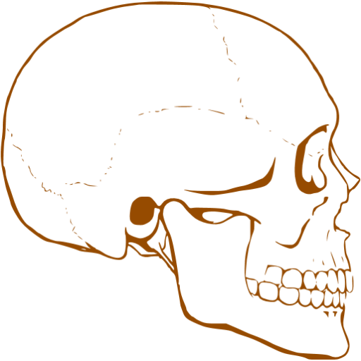 Brown Skull Transparent Free PNG