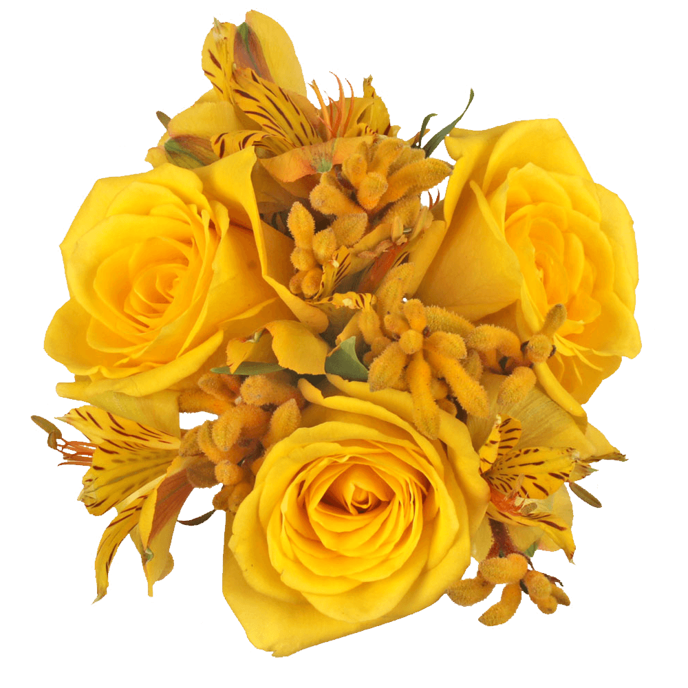 Bunch Of Yellow Roses Background PNG Image