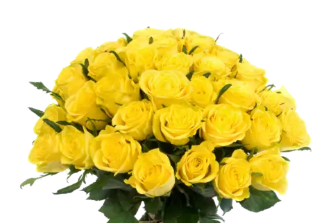 Bunch Of Yellow Roses PNG Clipart Background