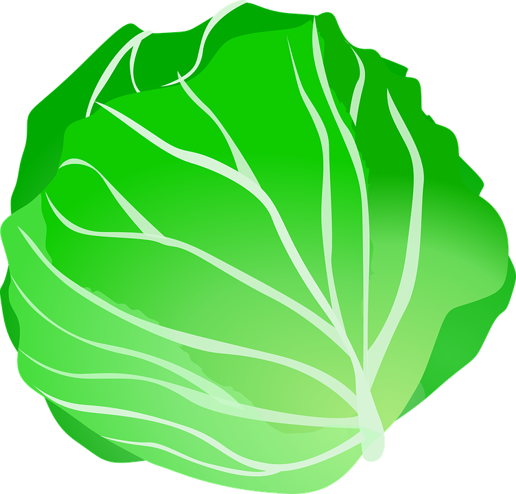 Cabbages Transparent File
