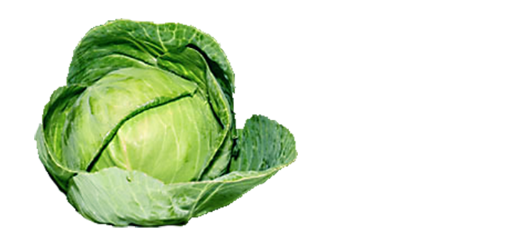 Cabbages Transparent Images