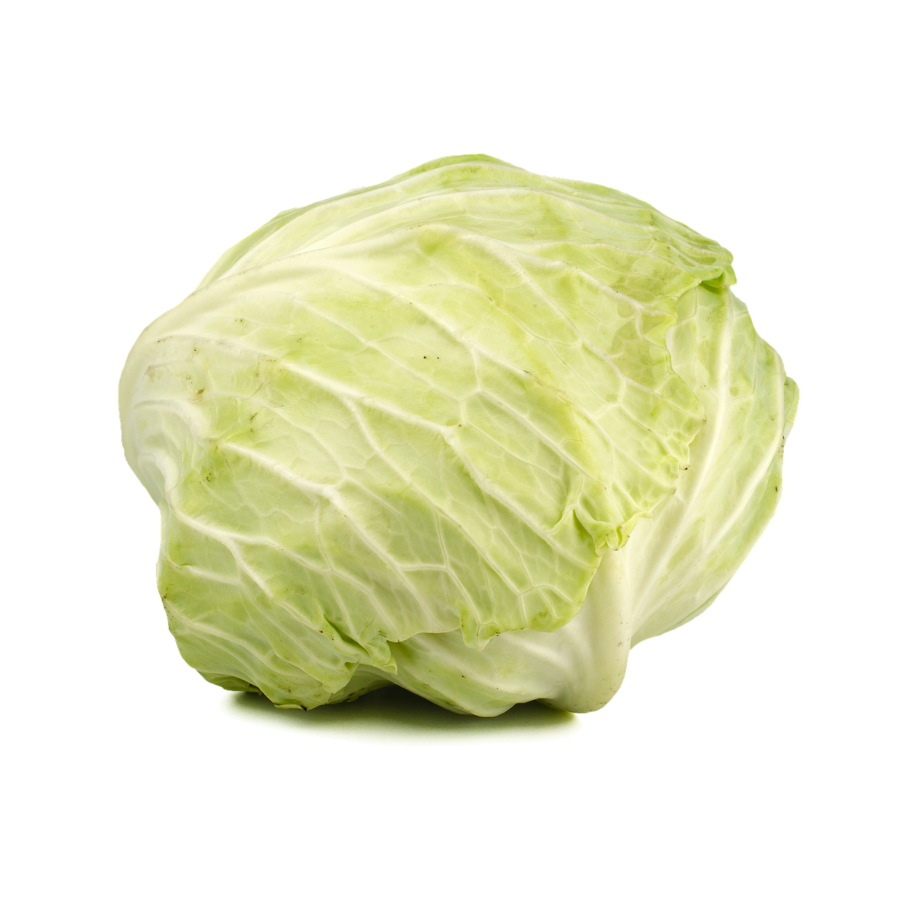 Cabbages Transparent PNG