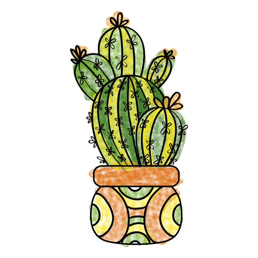 Cactus Illustration Background PNG Image