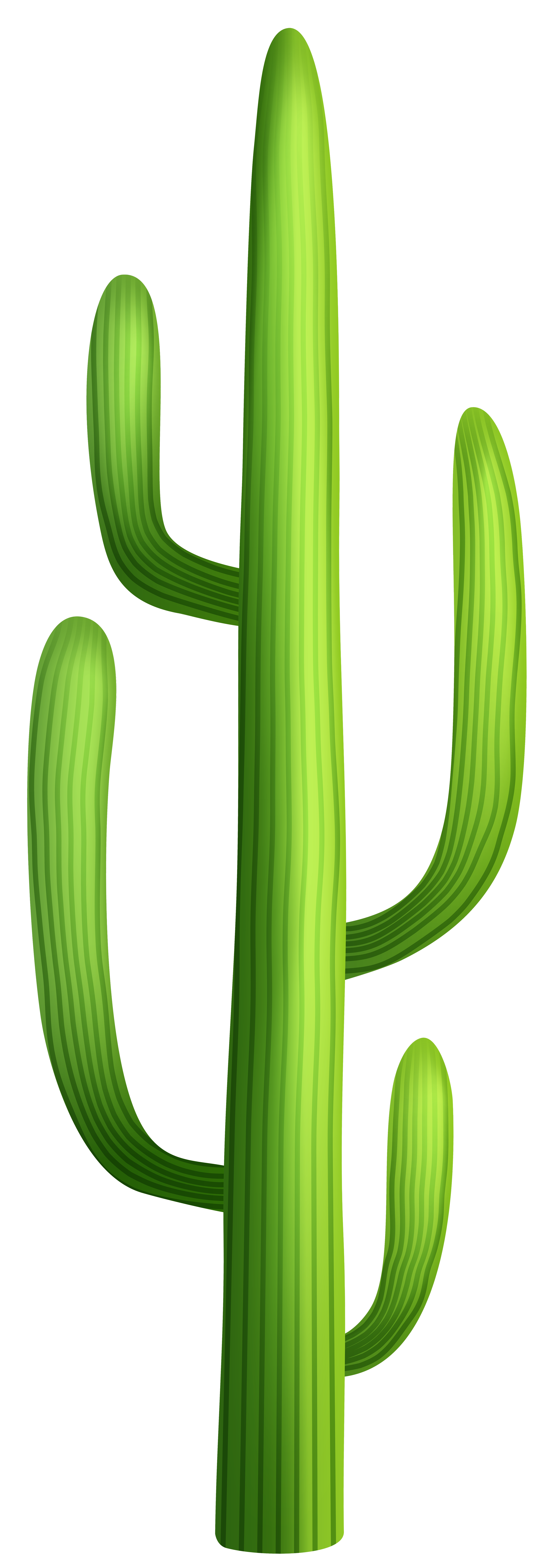 Cactus Illustration Free PNG