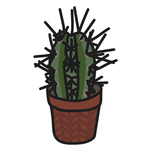 Cactus Illustration PNG HD Quality