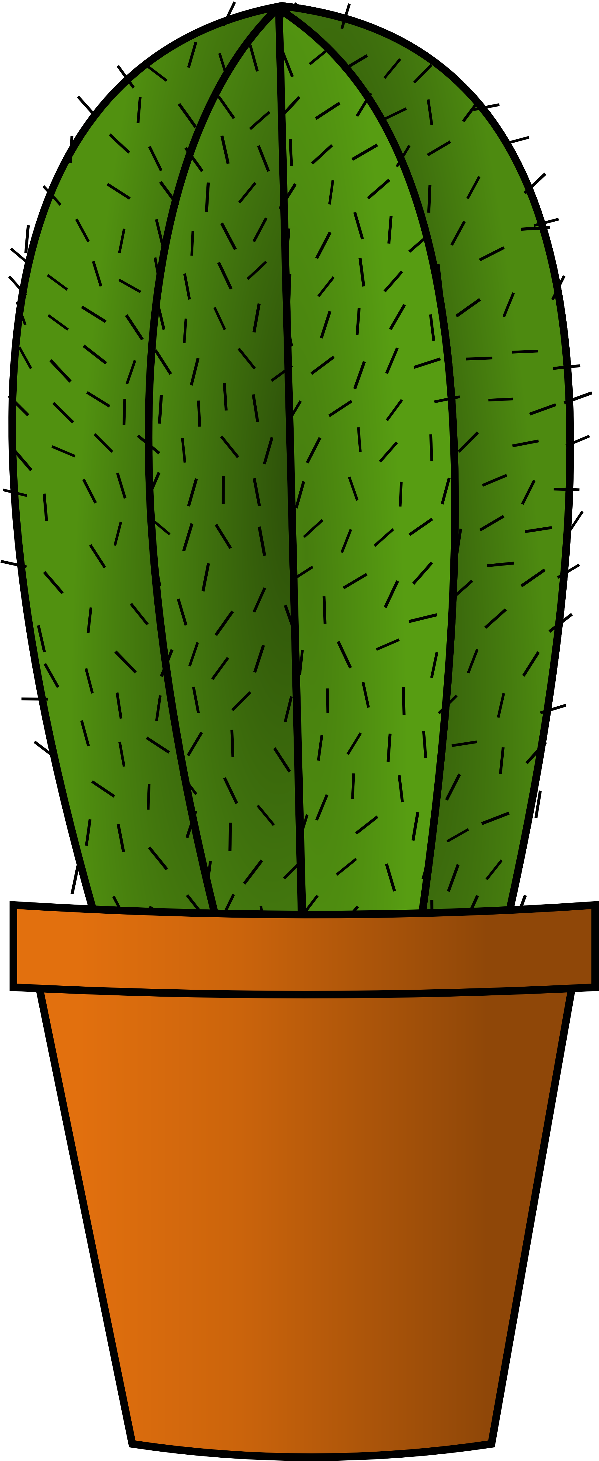 Cactus Illustration PNG Images HD