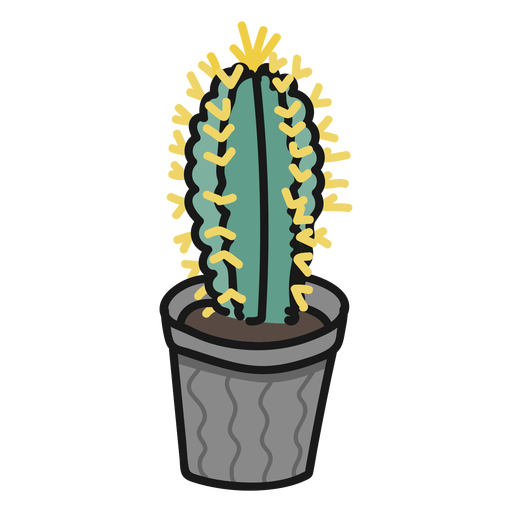 Cactus Illustration PNG Photos