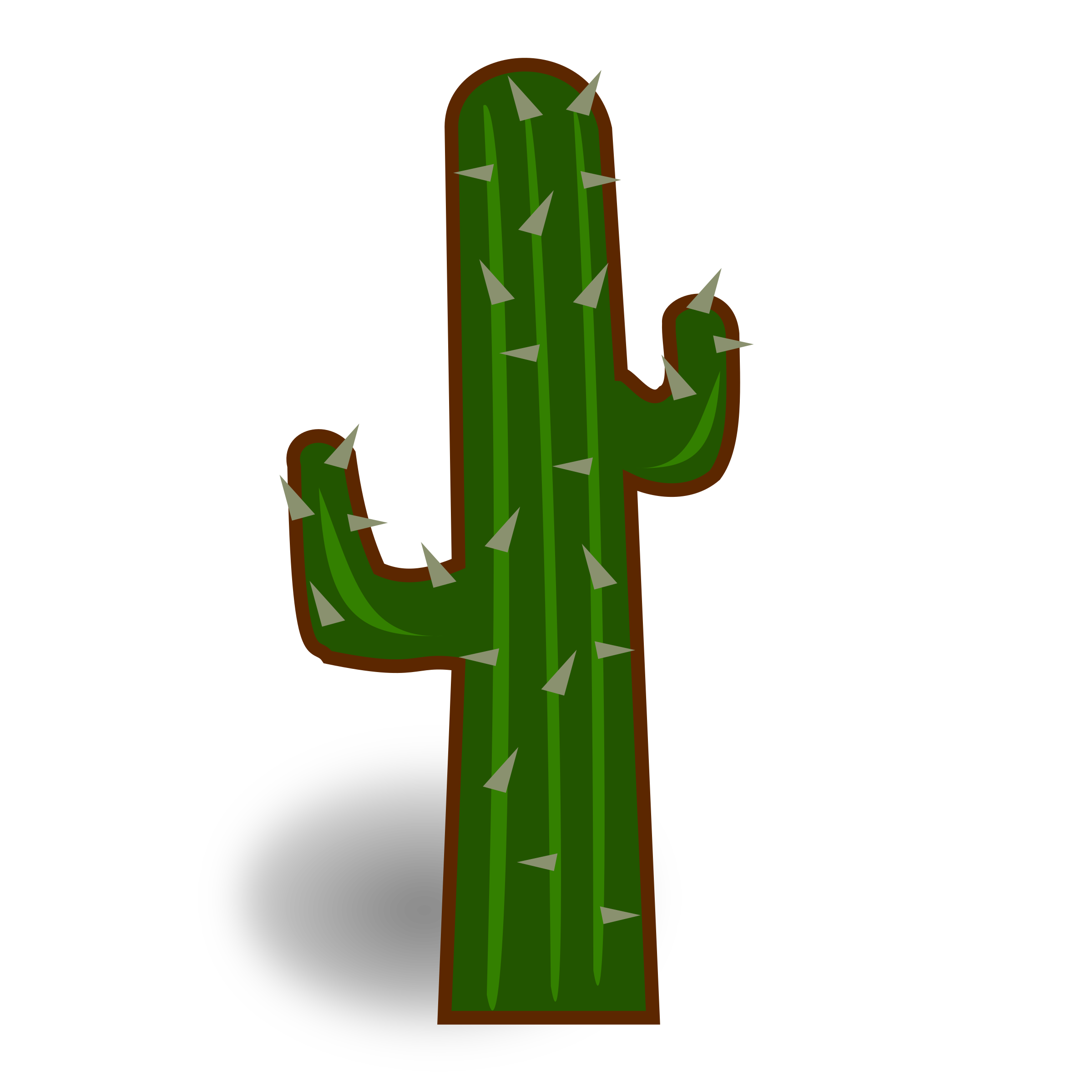 Cactus Illustration Transparent Background