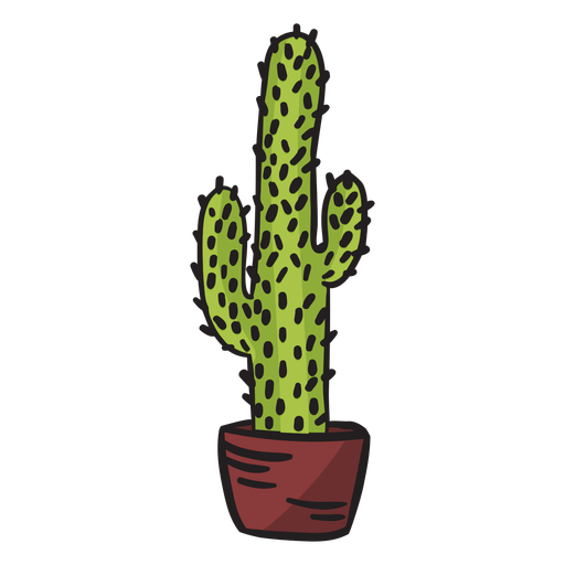 Cactus Illustration Transparent Image